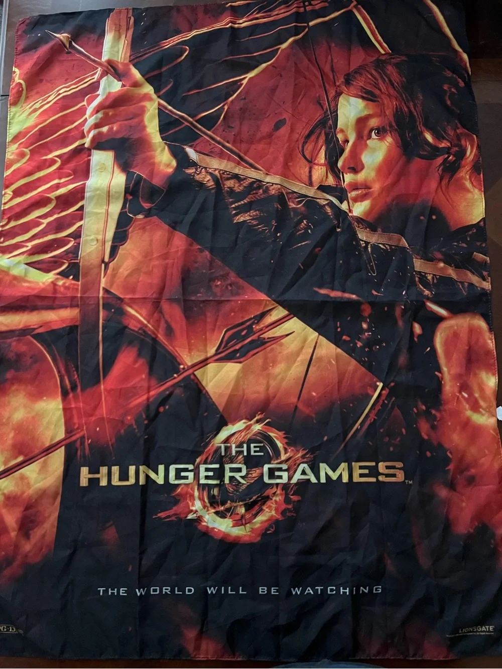 Hunger Games fabric wall banner